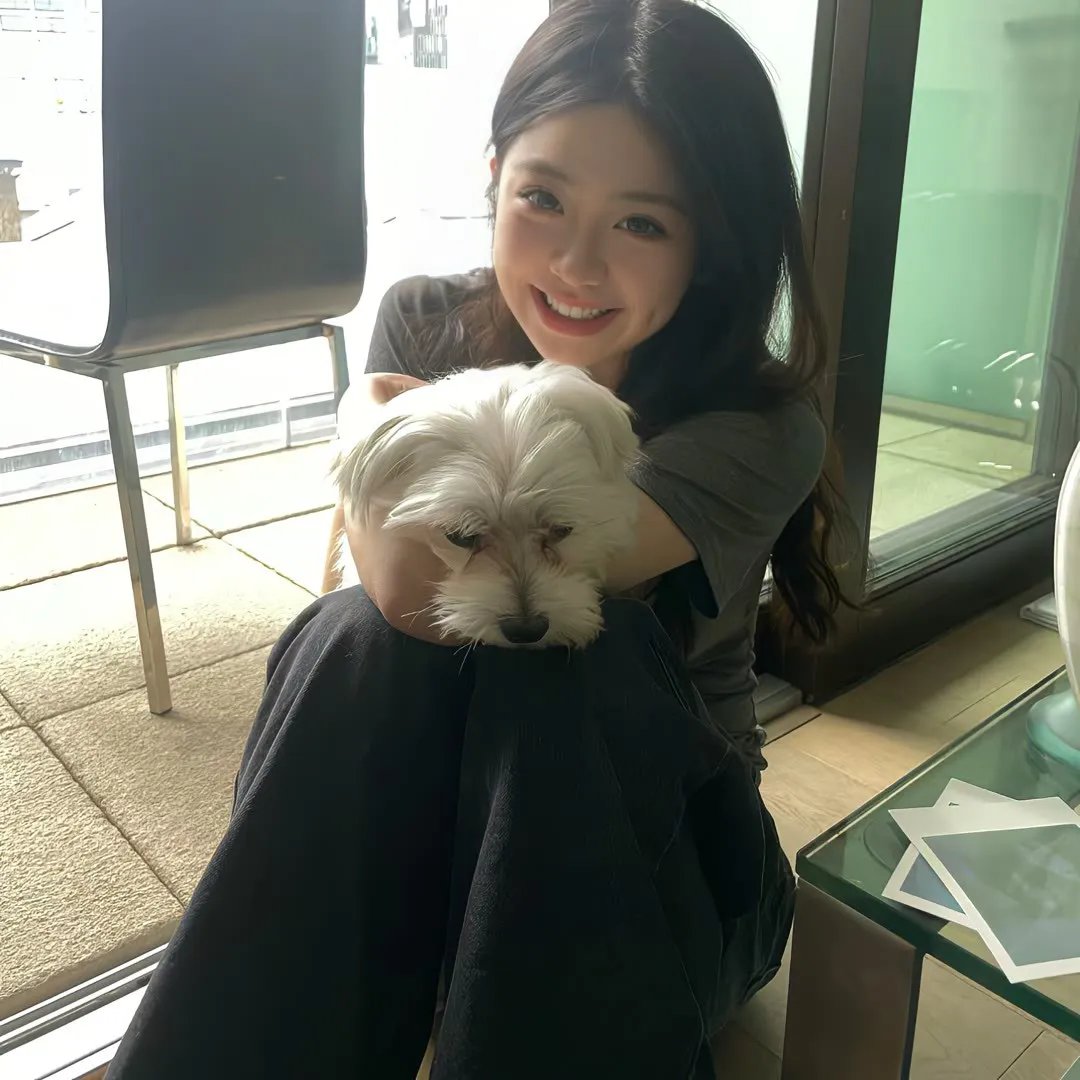 小白狮