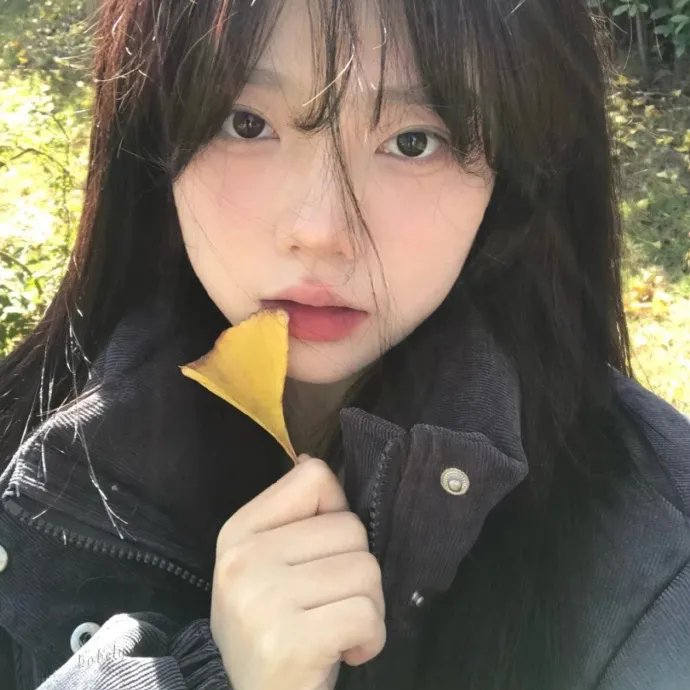 请给我寄粉丝信